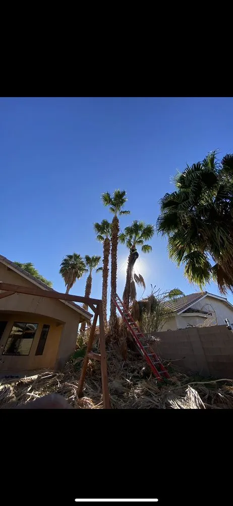 Professional landscape design in Yuma, AZ - JG Landscaping Services