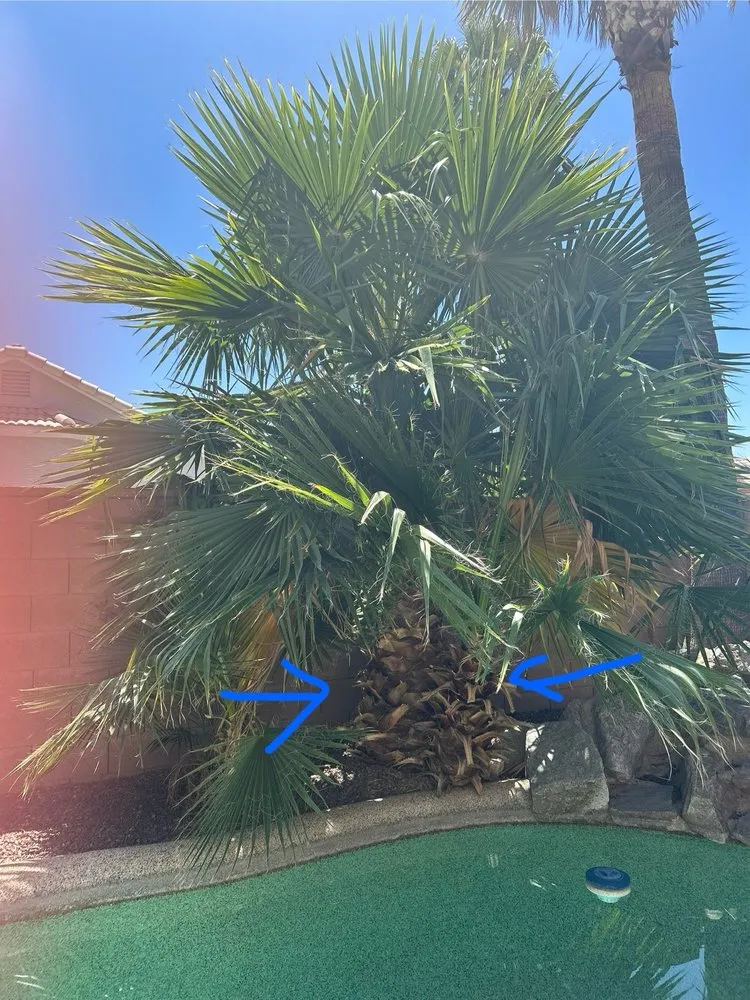 Affordable garden landscaping experts serving Yuma, AZ - JG Landscaping Services