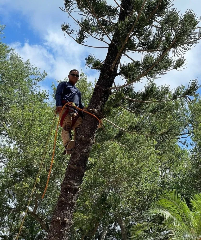 Reliable residential landscaping for outdoor upgrades across Goulds, FL - J&G Landscaping Tree Trimming Lawn Maintenance