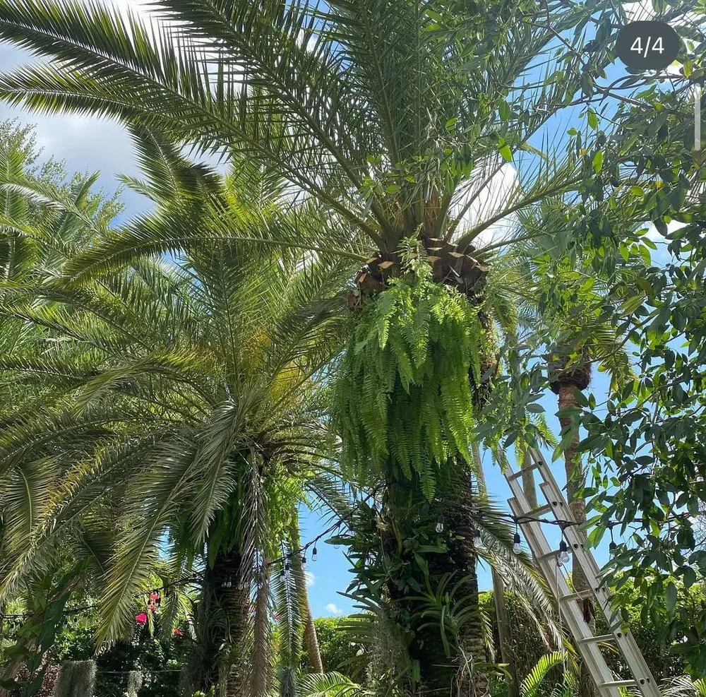 Trusted garden landscaping for beautiful yards in Goulds, FL by J&G Landscaping Tree Trimming Lawn Maintenance