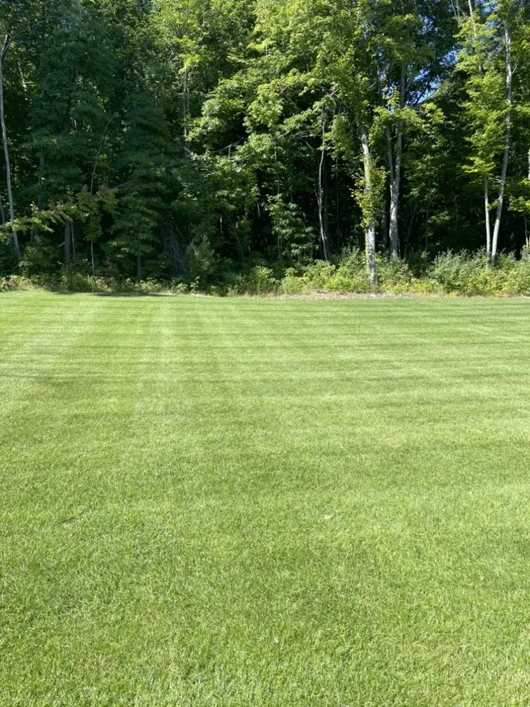 Local yard cleanup service in Clarksville, MI by JG Lawn & Landscaping