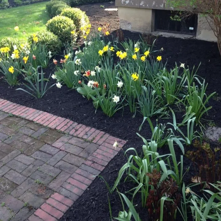 Affordable outdoor landscaping experts serving Tully, NY - JG Lawn & Snow