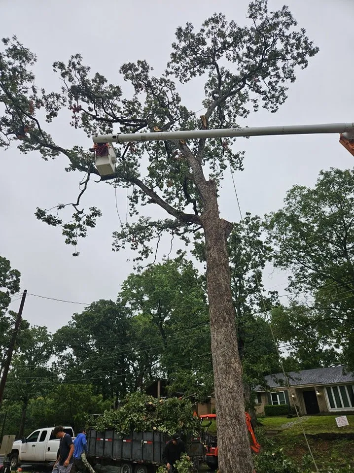 Top-rated yard maintenance with custom design in Tyler, TX by J&G Lawn & Tree Service