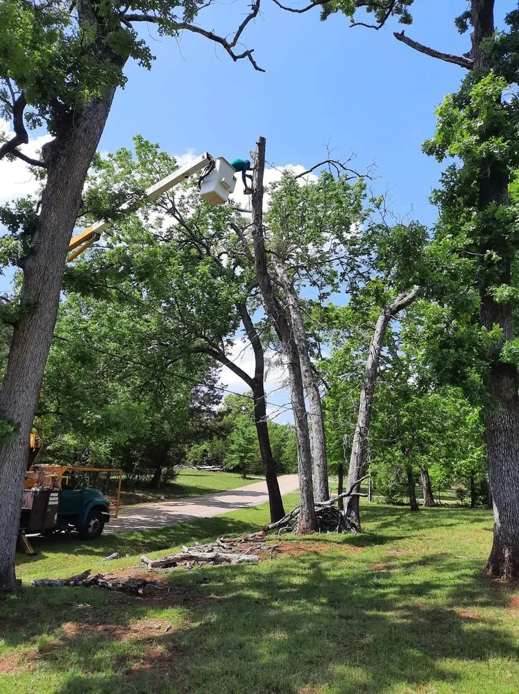 Reliable outdoor landscaping for residential properties in Tyler, TX by J&G Lawn & Tree Service