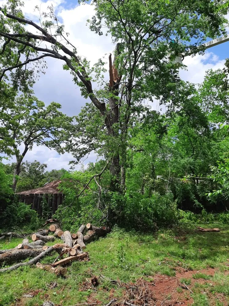 Affordable yard cleanup service for beautiful yards in Tyler, TX by J&G Lawn & Tree Service