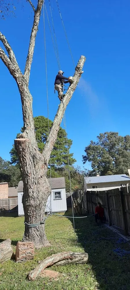 Trusted outdoor landscaping in Tyler, TX - J&G Lawn & Tree Service