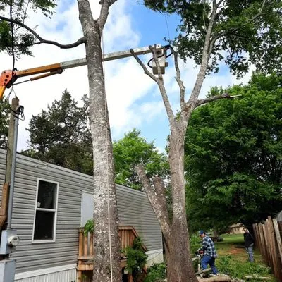 J&G Lawn & Tree Service Logo
