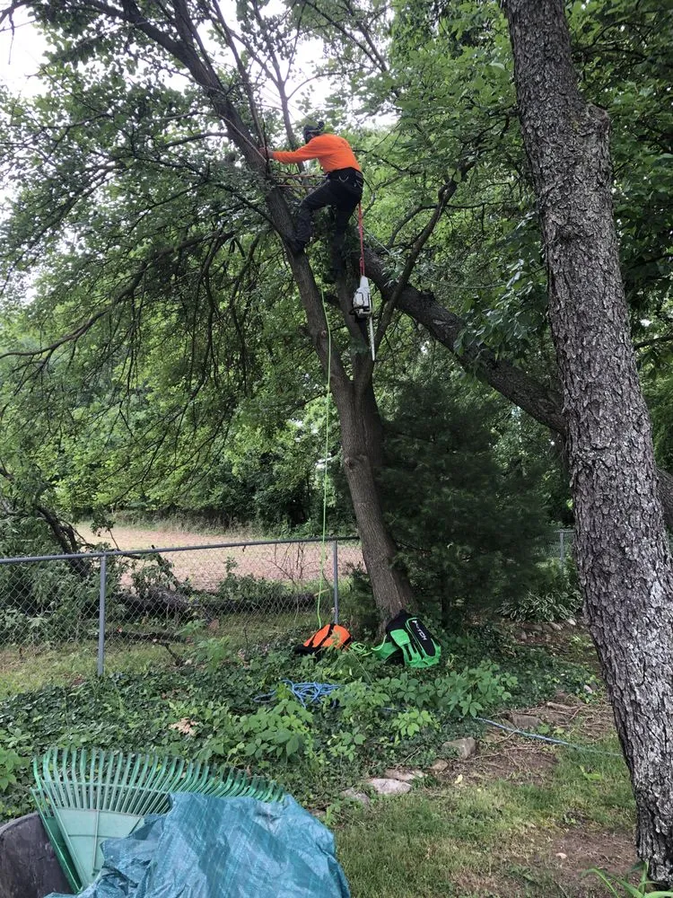 Trusted lawn mowing service experts serving Knox, IN - J&G Lawn & Tree Services