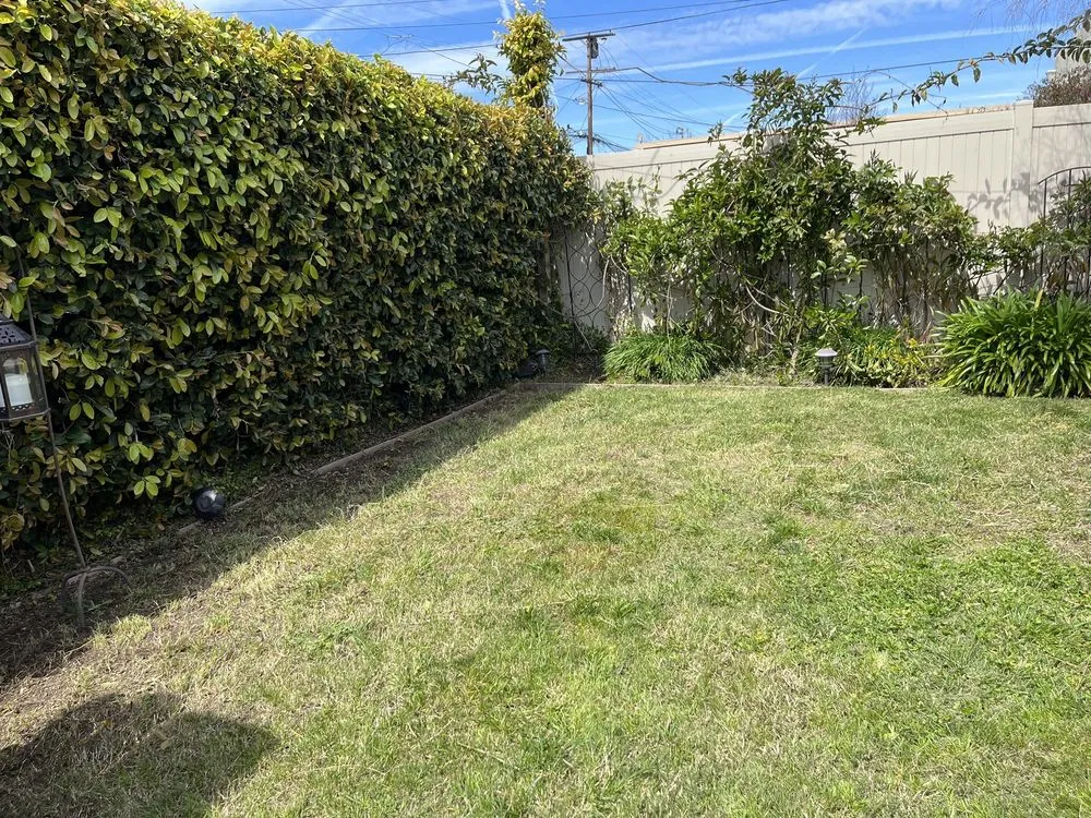 Top-rated yard cleanup service in Compton, CA - JG Lawn Care