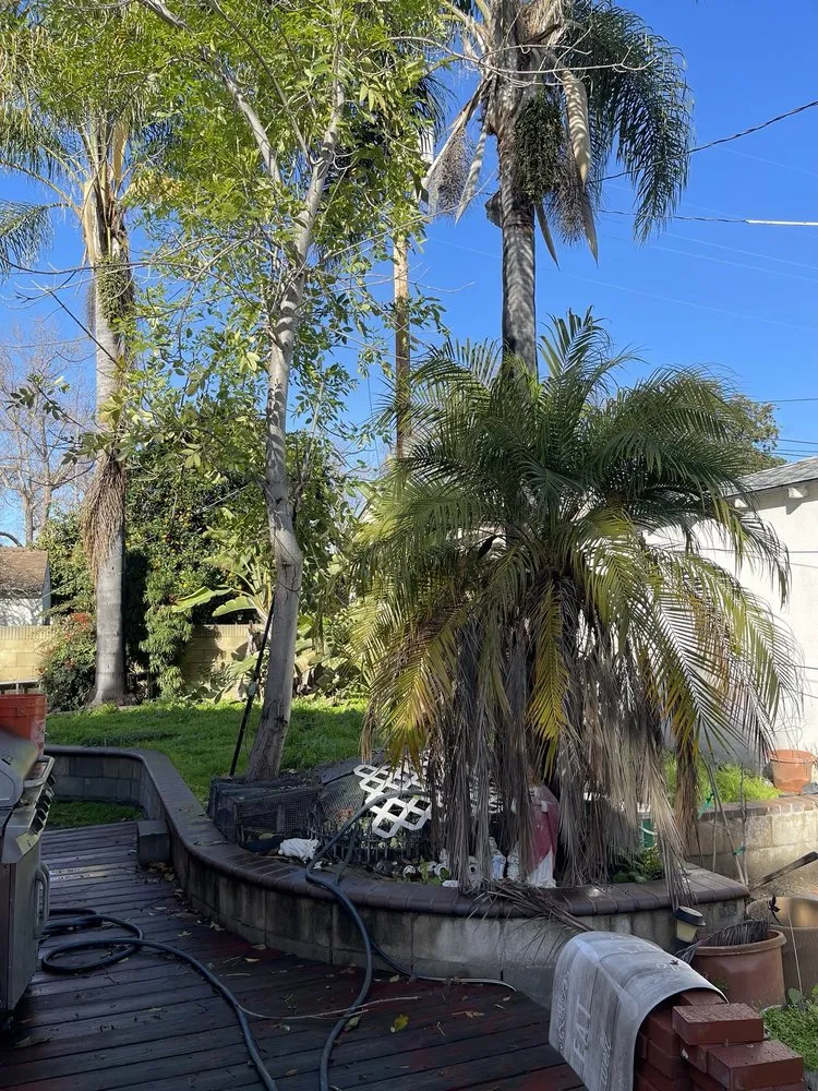 Reliable landscape design near you in Compton, CA by JG Lawn Care