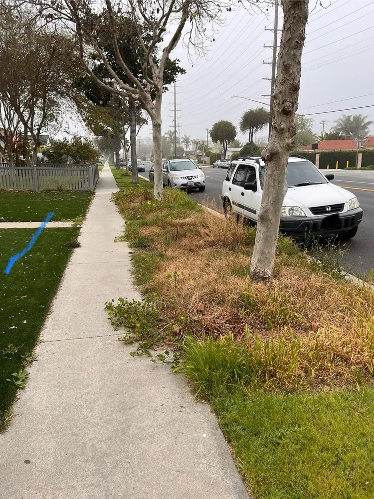 Local outdoor landscaping in Compton, CA by JG Lawn Care