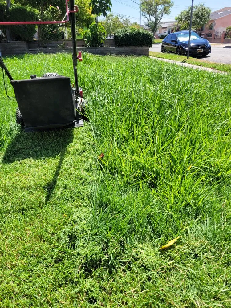 Reliable landscape design for beautiful yards in Compton, CA by JG Lawn Care