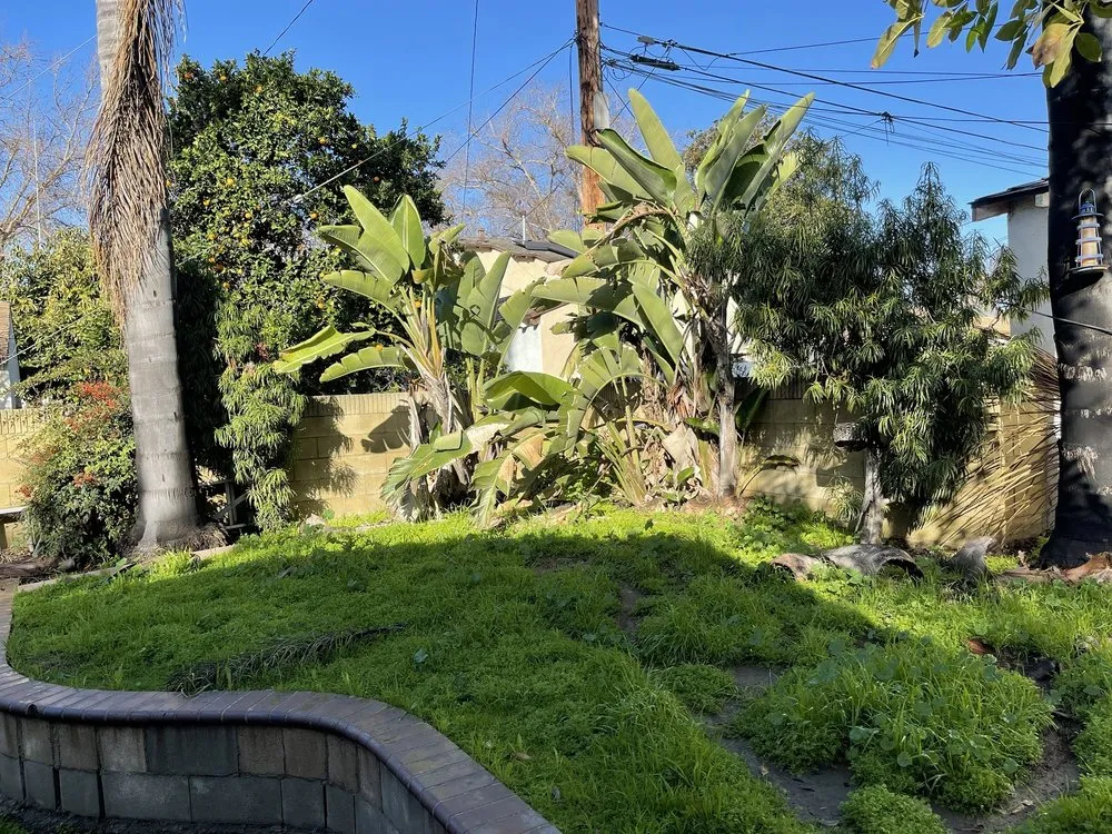 Custom lawn mowing service experts serving Compton, CA - JG Lawn Care