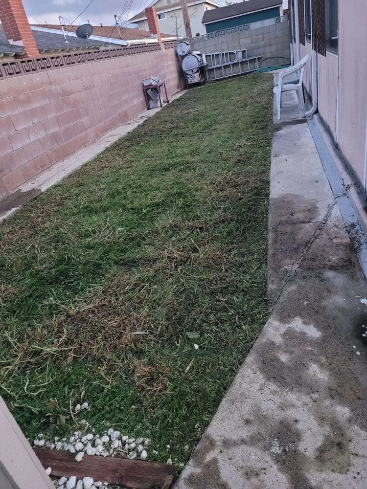 Trusted landscaping services for residential properties in Compton, CA by JG Lawn Care