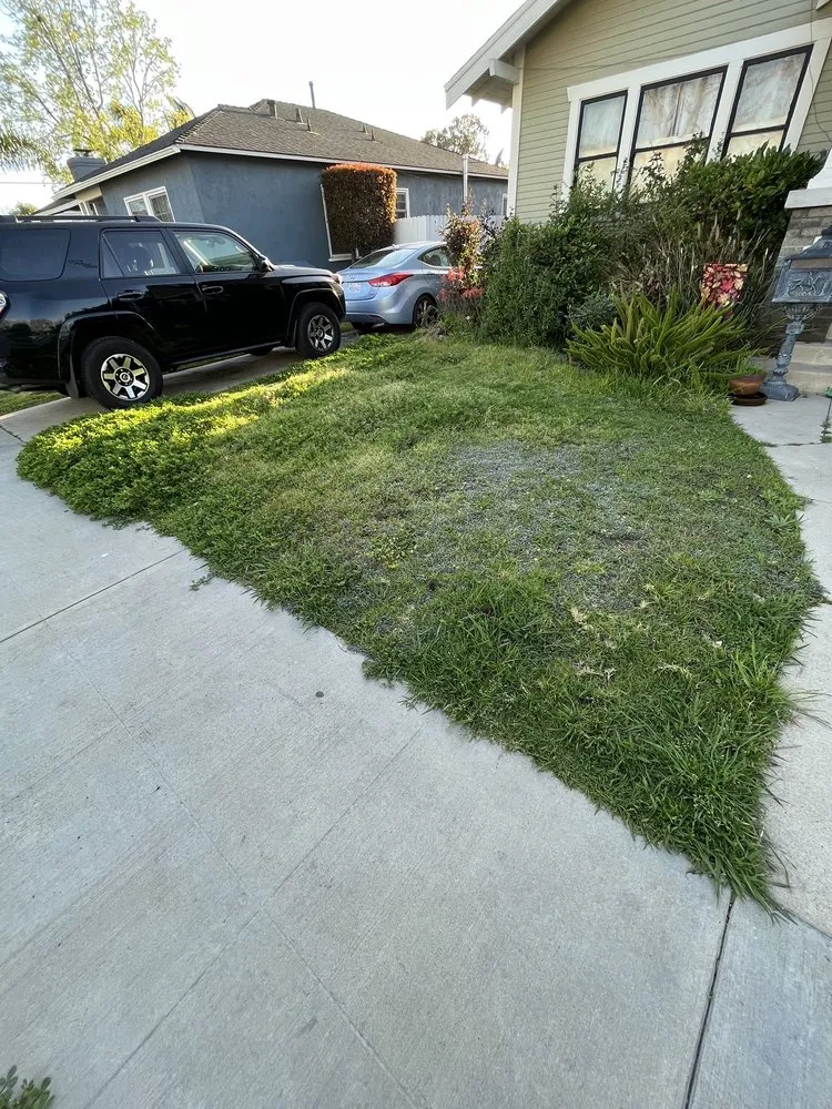 Local landscape design in Compton, CA by JG Lawn Care