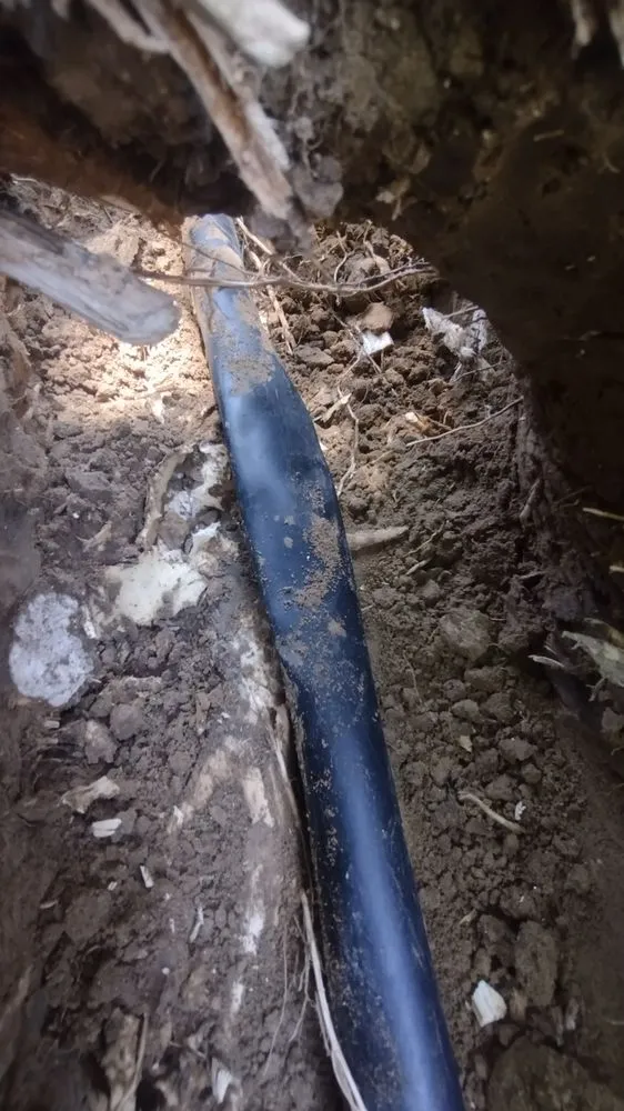 Reliable yard cleanup service in Johnstown, CO by JG Lawn Sprinkler Repair