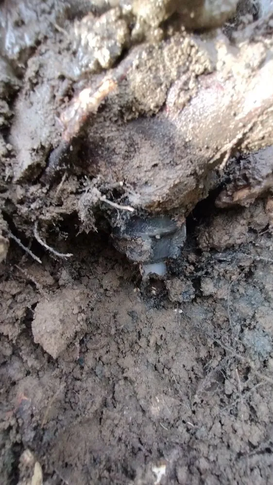 Expert outdoor landscaping near you across Johnstown, CO - JG Lawn Sprinkler Repair