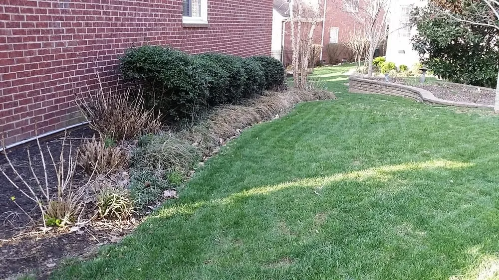 Professional yard maintenance for outdoor upgrades in Nashville, TN by JG Lawncare Service