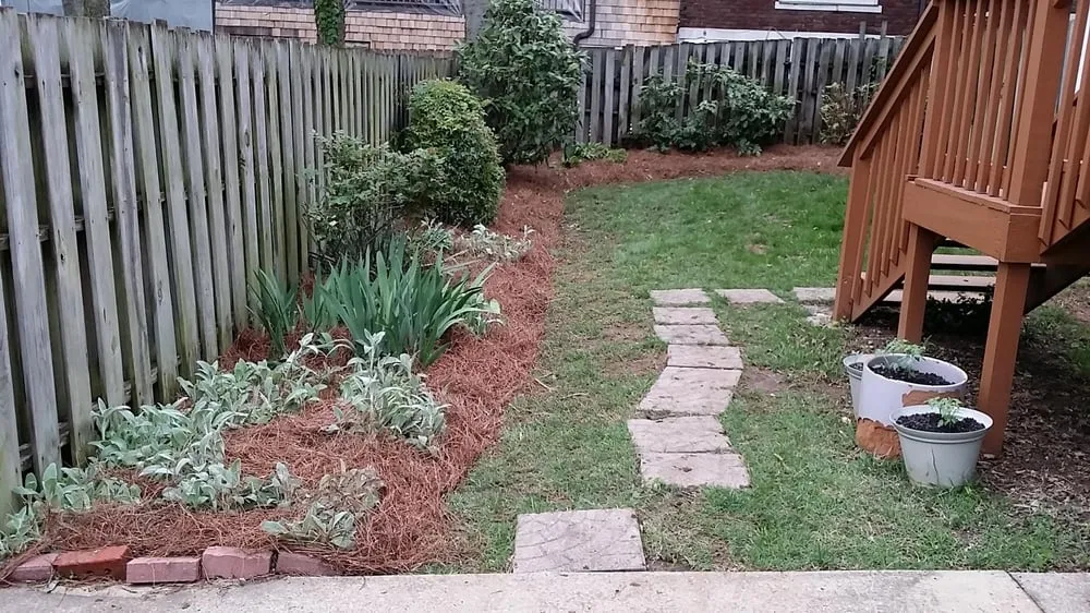 Reliable lawn care service for beautiful yards in Nashville, TN by JG Lawncare Service