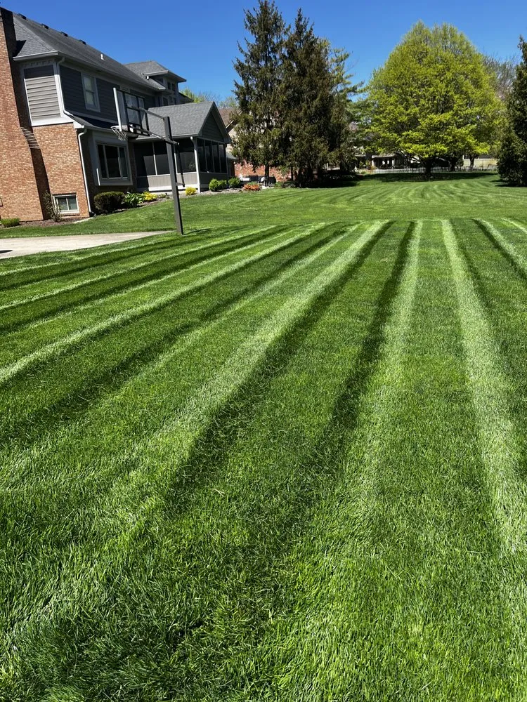 Reliable yard cleanup service experts serving Indianapolis, IN - JG OUTDOOR SOLUTIONS