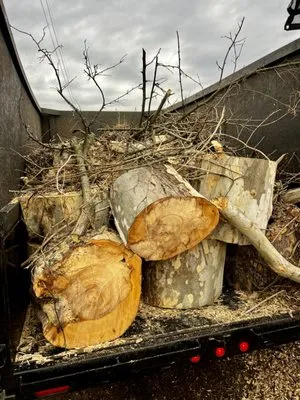 JG OUTDOOR SOLUTIONS Logo