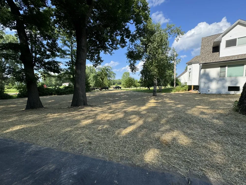 Affordable lawn mowing service in Sobieski, WI by JG Property Works