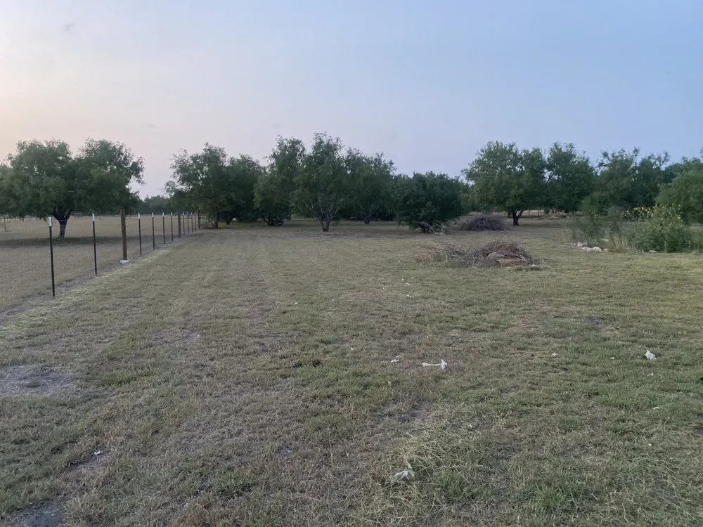 Local landscaping services experts serving Mercedes, TX - JG Service