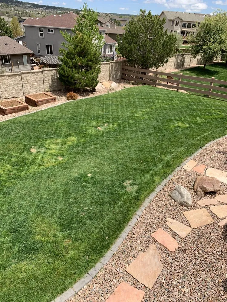 Trusted lawn care service in Corpus Christi, TX by J&G Services