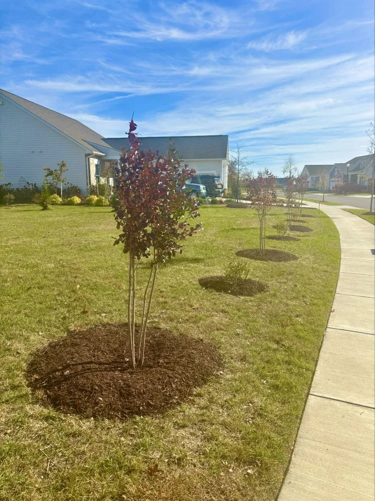 Professional lawn care service for beautiful yards in Annapolis, MD by JG Stone Pavers Landscaping