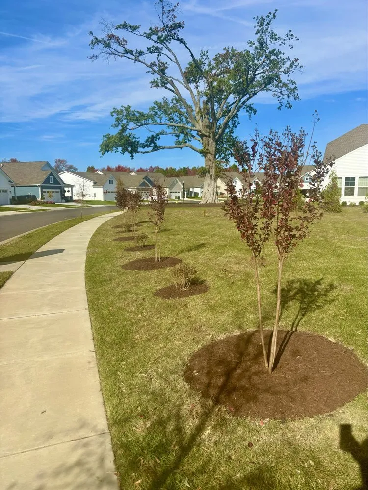 Professional yard maintenance experts serving Annapolis, MD - JG Stone Pavers Landscaping