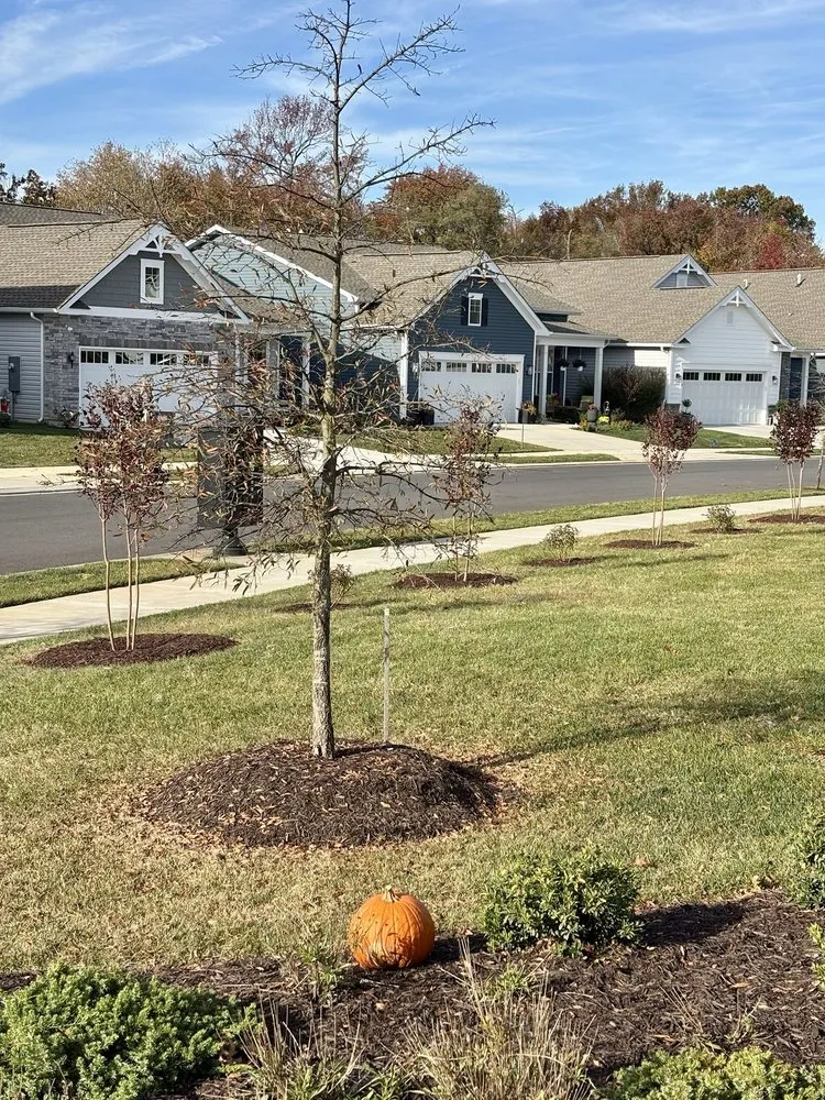 Professional garden landscaping experts serving Annapolis, MD - JG Stone Pavers Landscaping