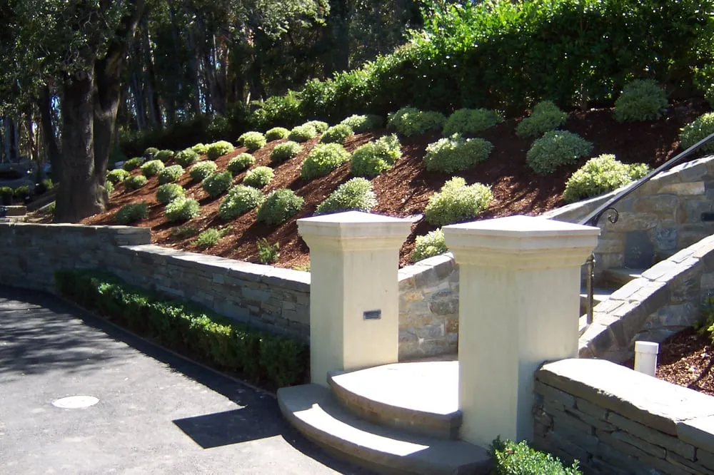 Affordable landscaping services in East Palo Alto, CA - Jg Universal Landscape