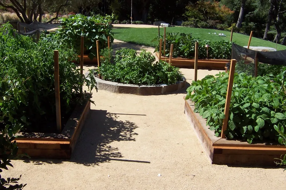 Custom landscape design in East Palo Alto, CA by Jg Universal Landscape