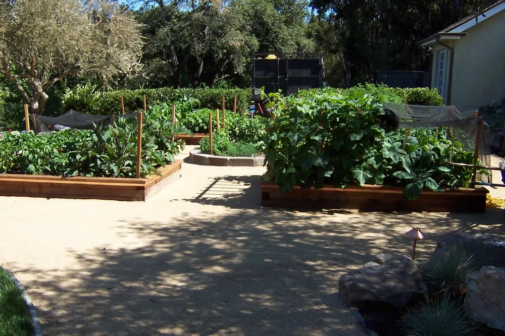 Trusted garden landscaping experts serving East Palo Alto, CA - Jg Universal Landscape