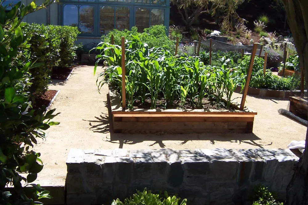 Top-rated yard maintenance in East Palo Alto, CA by Jg Universal Landscape