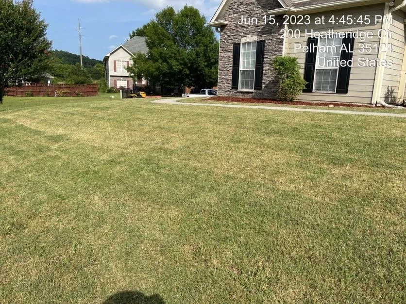 Local lawn care service experts serving Alabaster, AL - JG White Enterprise