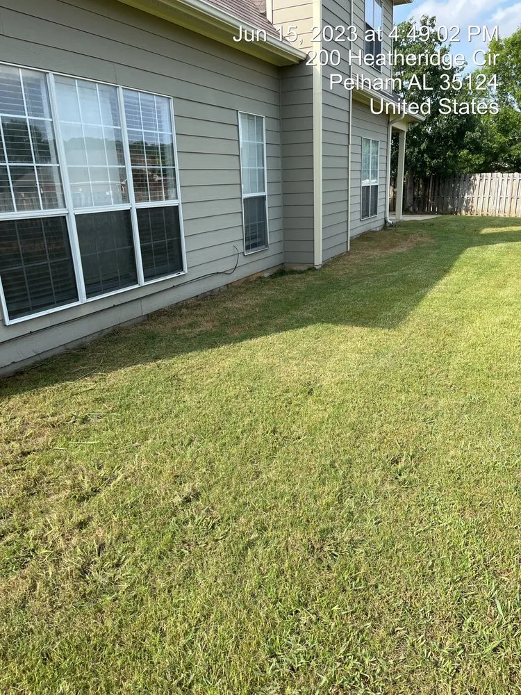 Top-rated yard cleanup service with custom design across Alabaster, AL - JG White Enterprise