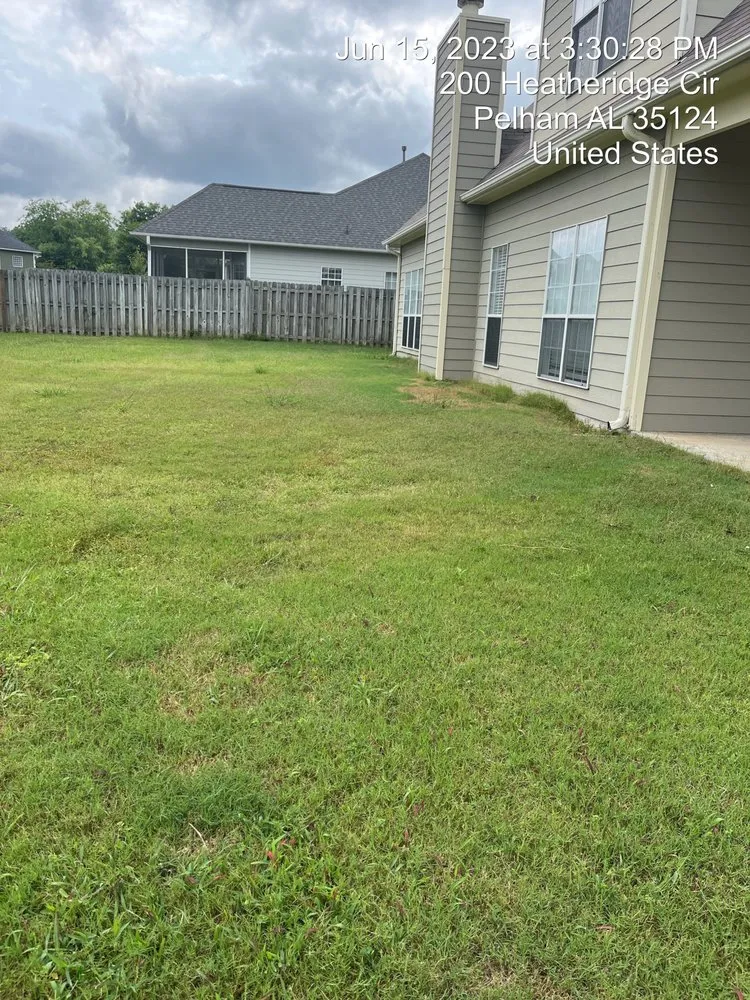 Trusted yard cleanup service experts serving Alabaster, AL - JG White Enterprise