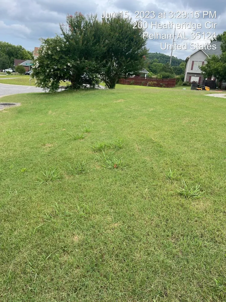 Expert landscape design for outdoor upgrades across Alabaster, AL - JG White Enterprise