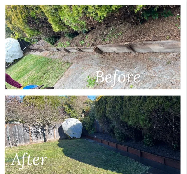 Local landscape design for outdoor upgrades in Santa Rosa, CA by JG Yard Maintenance & Landscaping