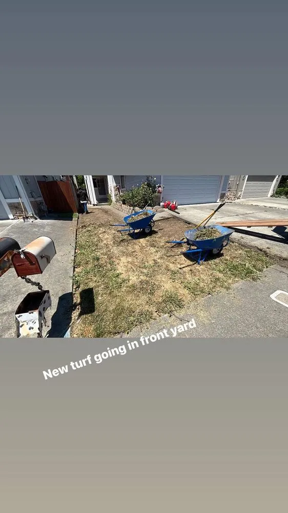 Local yard maintenance for year-round maintenance in Santa Rosa, CA by JG Yard Maintenance & Landscaping