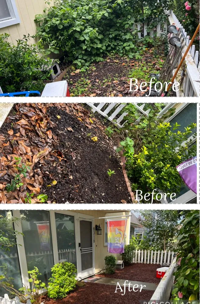 Affordable yard cleanup service near you in Santa Rosa, CA by JG Yard Maintenance & Landscaping