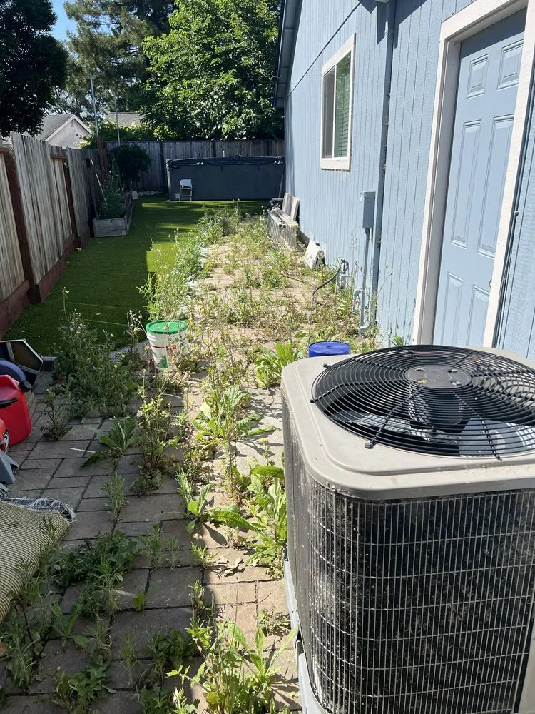 Expert lawn care service in Santa Rosa, CA by JG Yard Maintenance & Landscaping