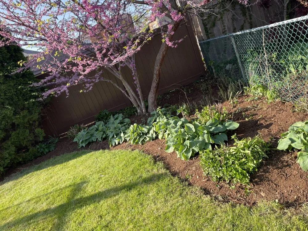 Professional outdoor landscaping experts serving Chicago, IL - JGarcia's Tree Services