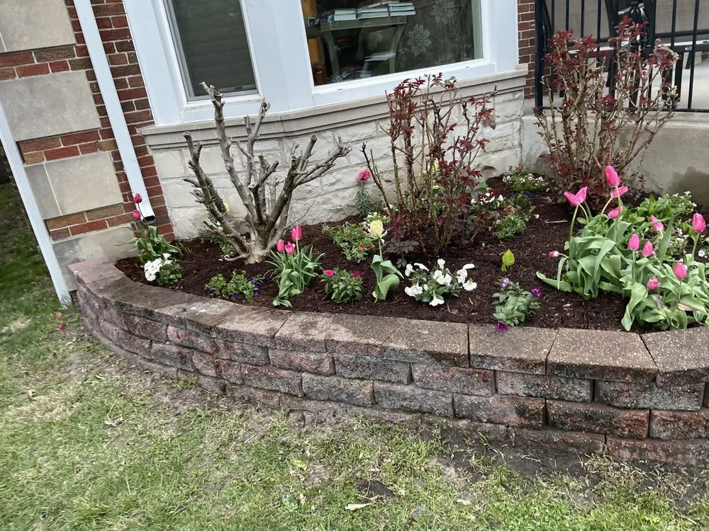 Local yard maintenance for beautiful yards across Chicago, IL - JGarcia's Tree Services