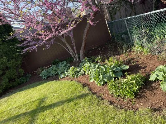 JGarcia's Tree Services Logo