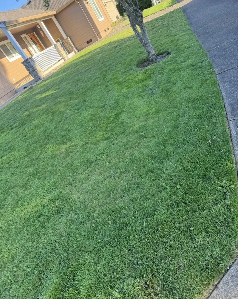 Professional landscaping services in Springfield, OR - JGB Landscaping & Maintenance