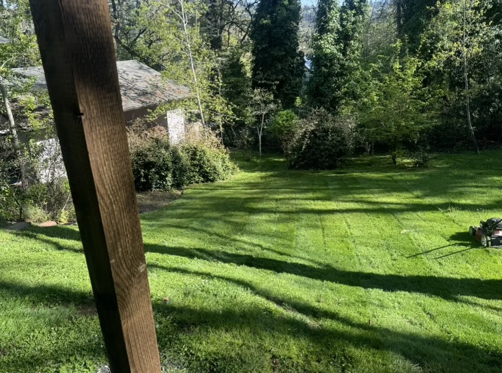 Custom yard cleanup service near you in Springfield, OR by JGB Landscaping & Maintenance