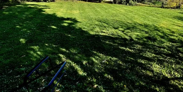 JGB Landscaping & Maintenance