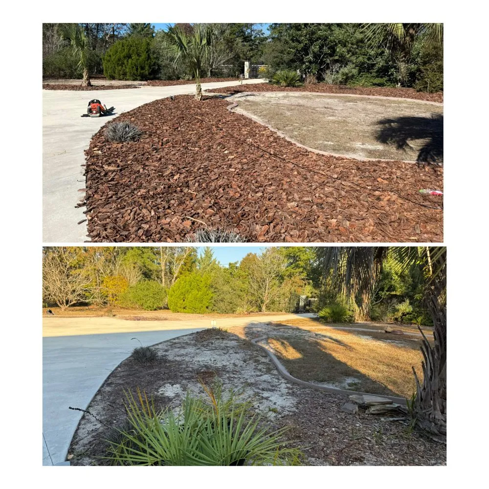 Professional residential landscaping experts serving Crawfordville, FL - JGC Landscaping